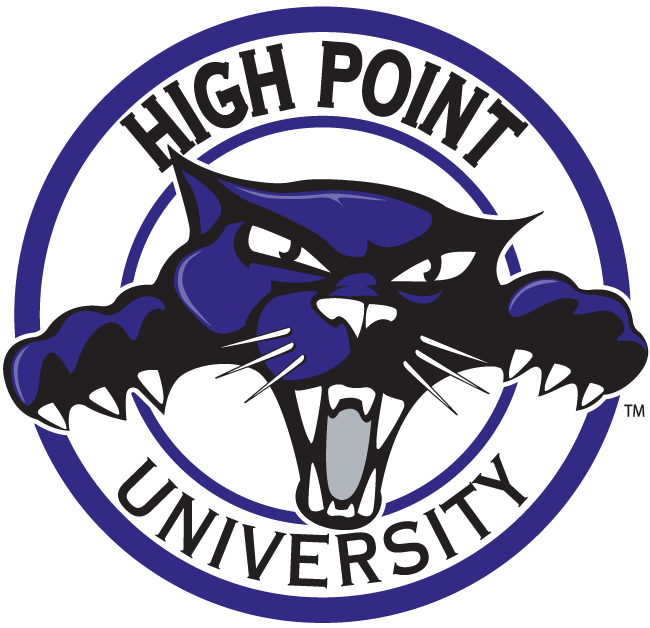 High Point Panthers 2004-2011 Alternate Logo v3 iron on transfers for T-shirts